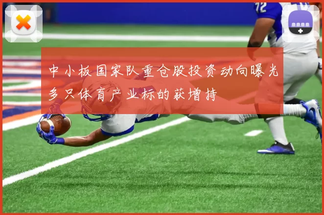 中小板国家队重仓股投资动向曝光多只体育产业标的获增持