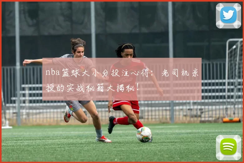 nba篮球大小分投注心得：老司机亲授的实战秘籍大揭秘！