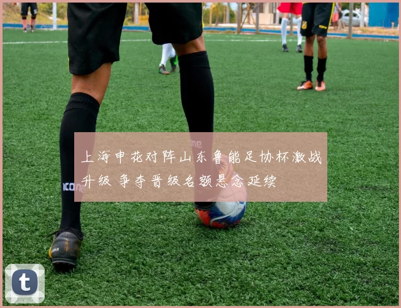 上海申花对阵山东鲁能足协杯激战升级 争夺晋级名额悬念延续