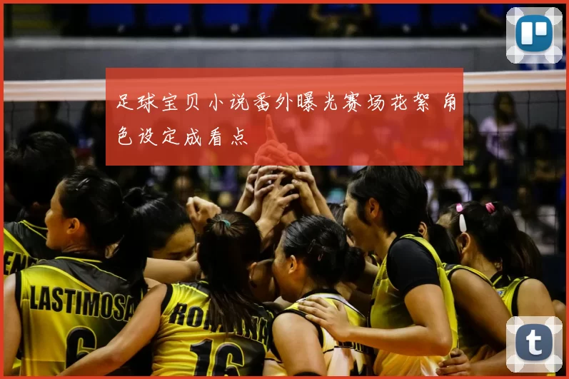 足球宝贝小说番外曝光赛场花絮 角色设定成看点