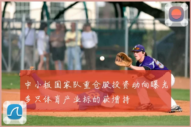 中小板国家队重仓股投资动向曝光多只体育产业标的获增持